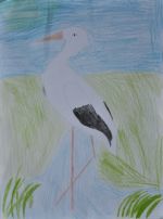 Pacigová Simona.jpg